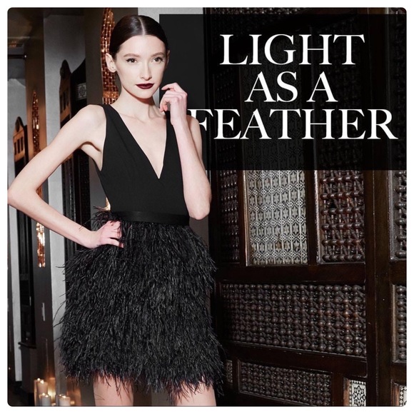 ALICE + OLIVIA Kiara Feather Dress - Picture 3 of 12